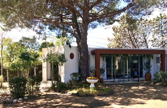 La Cactee Singuliere Bed & Breakfast Beziers Exterior photo
